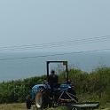 2 Clearing the Field (15)